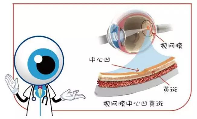 新型冠状病毒能否通过结膜传染